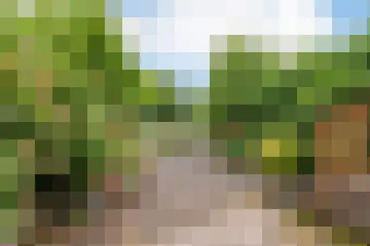 Birkholm 164 Hoofddorp thumbnail 35
