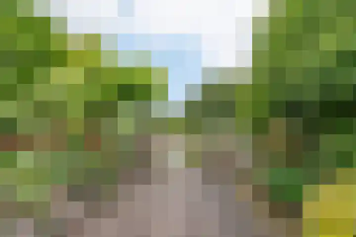 Birkholm 164 Hoofddorp thumbnail 37