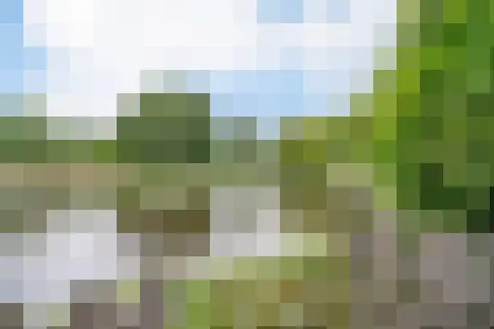 Birkholm 164 Hoofddorp thumbnail 38