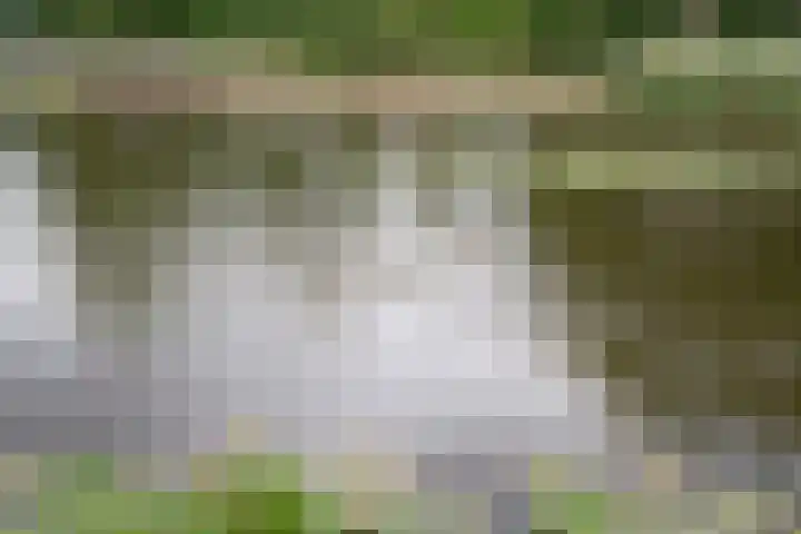 Birkholm 164 Hoofddorp thumbnail 39