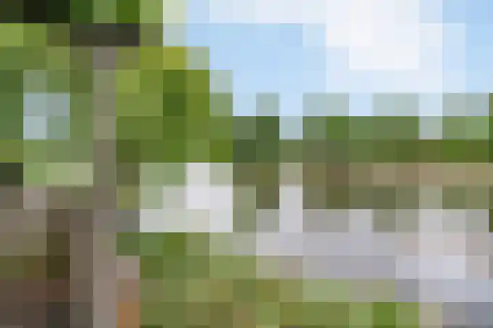 Birkholm 164 Hoofddorp thumbnail 40