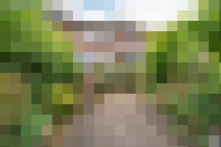 Birkholm 164 Hoofddorp thumbnail 41