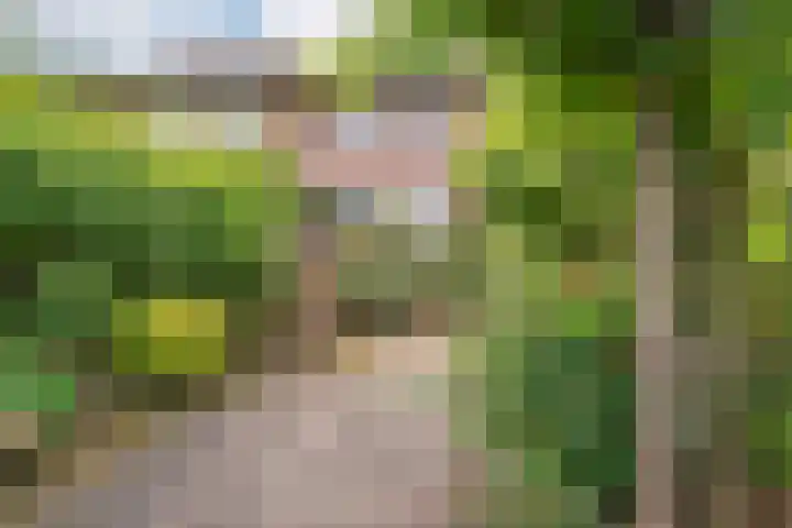 Birkholm 164 Hoofddorp thumbnail 42