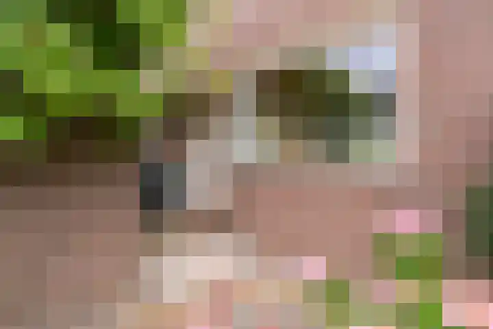 Birkholm 164 Hoofddorp thumbnail 44