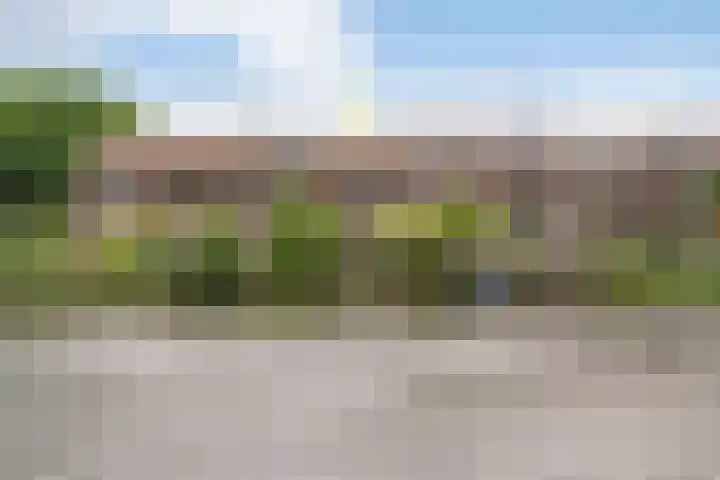 Birkholm 164 Hoofddorp thumbnail 60