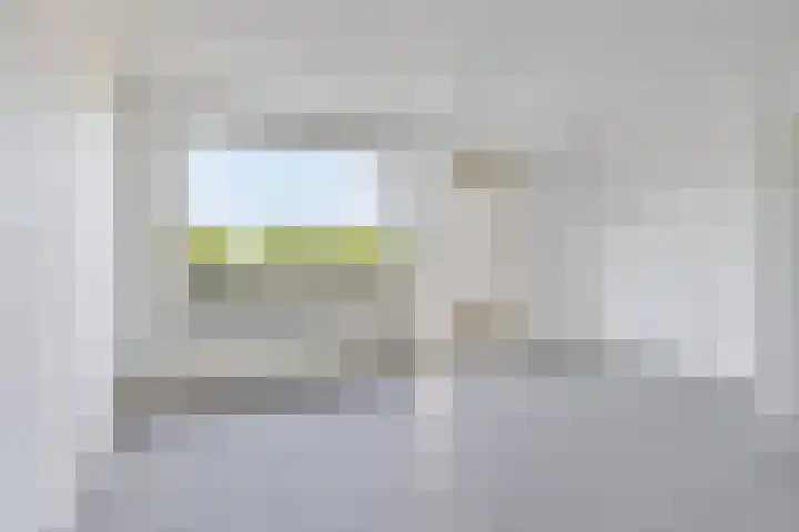 Birkholm 192 Hoofddorp thumbnail 12