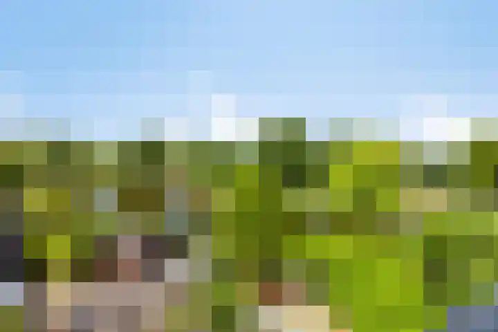 Birkholm 192 Hoofddorp thumbnail 15