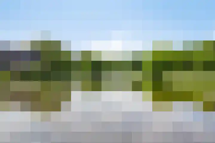 Birkholm 192 Hoofddorp thumbnail 28