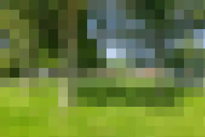 Birkholm 192 Hoofddorp thumbnail 29