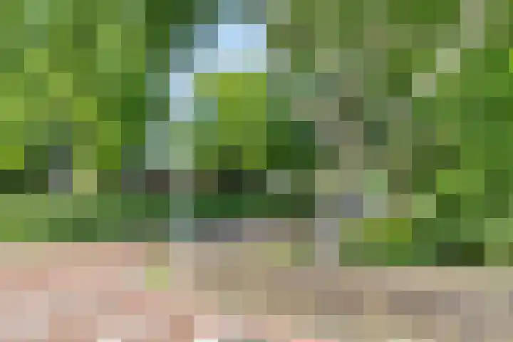 Birkholm 192 Hoofddorp thumbnail 31