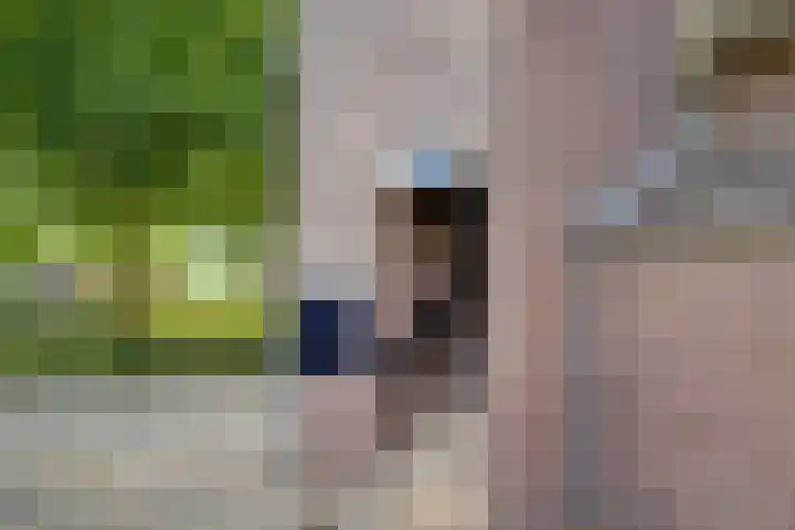 Birkholm 192 Hoofddorp thumbnail 5