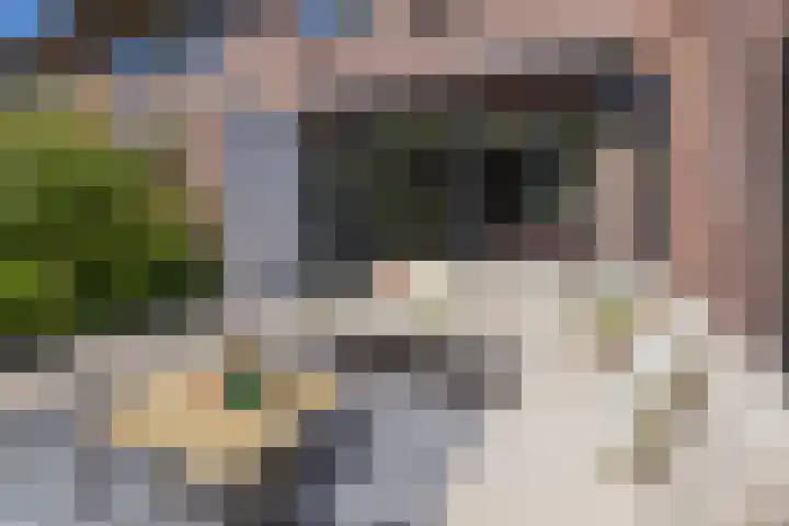 Birkholm 22 Hoofddorp thumbnail 21