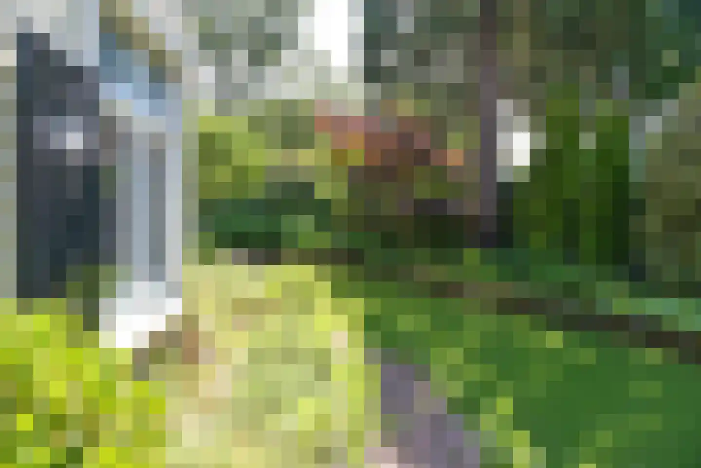 Birkstraat 145 Soest thumbnail 25