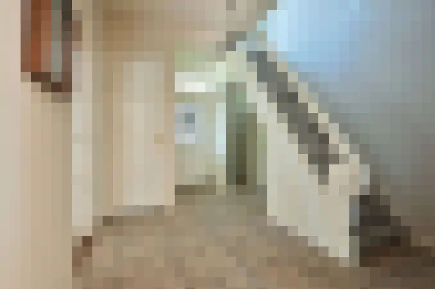 Birkstraat 145 Soest thumbnail 6