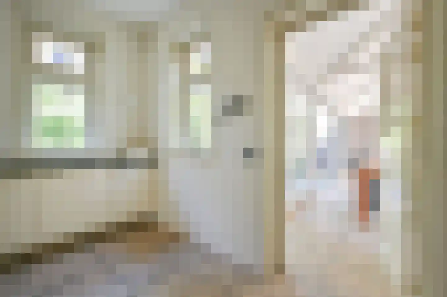 Birkstraat 145 Soest thumbnail 8