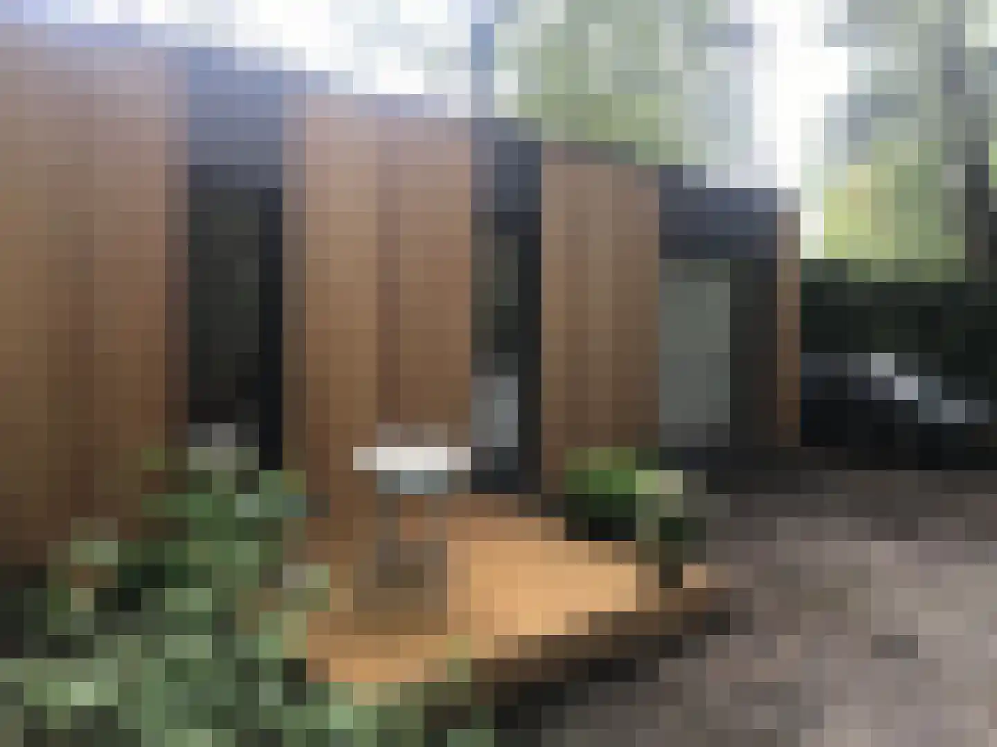 Birkstraat 150 Soest thumbnail 23
