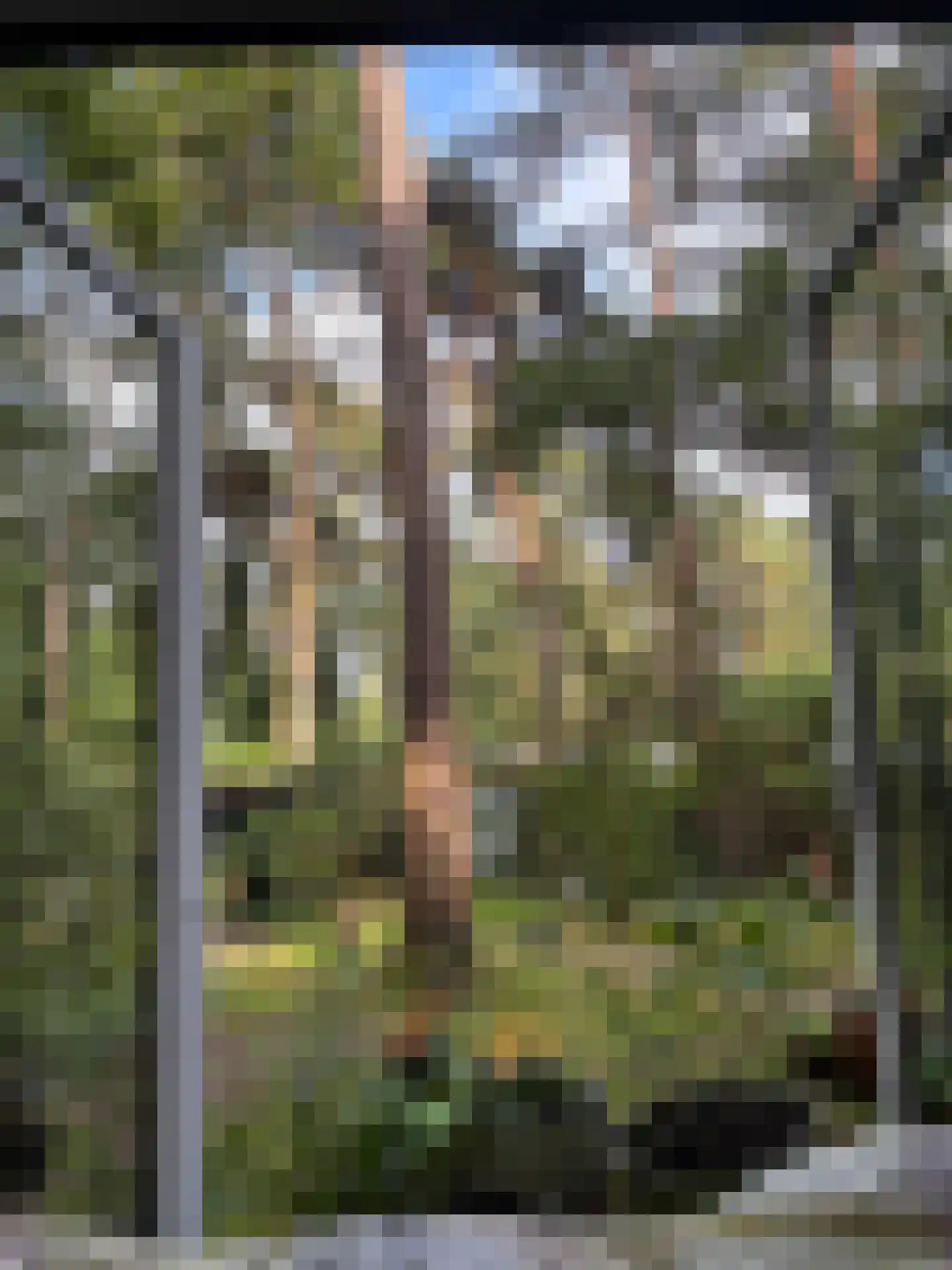 Birkstraat 150 Soest thumbnail 9