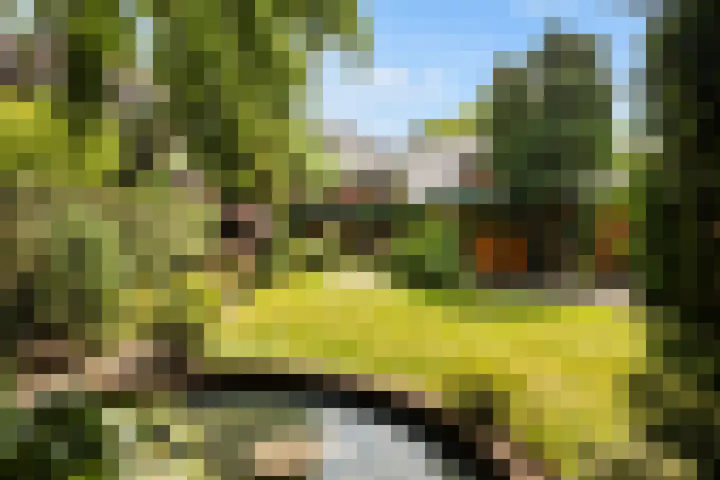 Birkstraat 159 Soest thumbnail 23