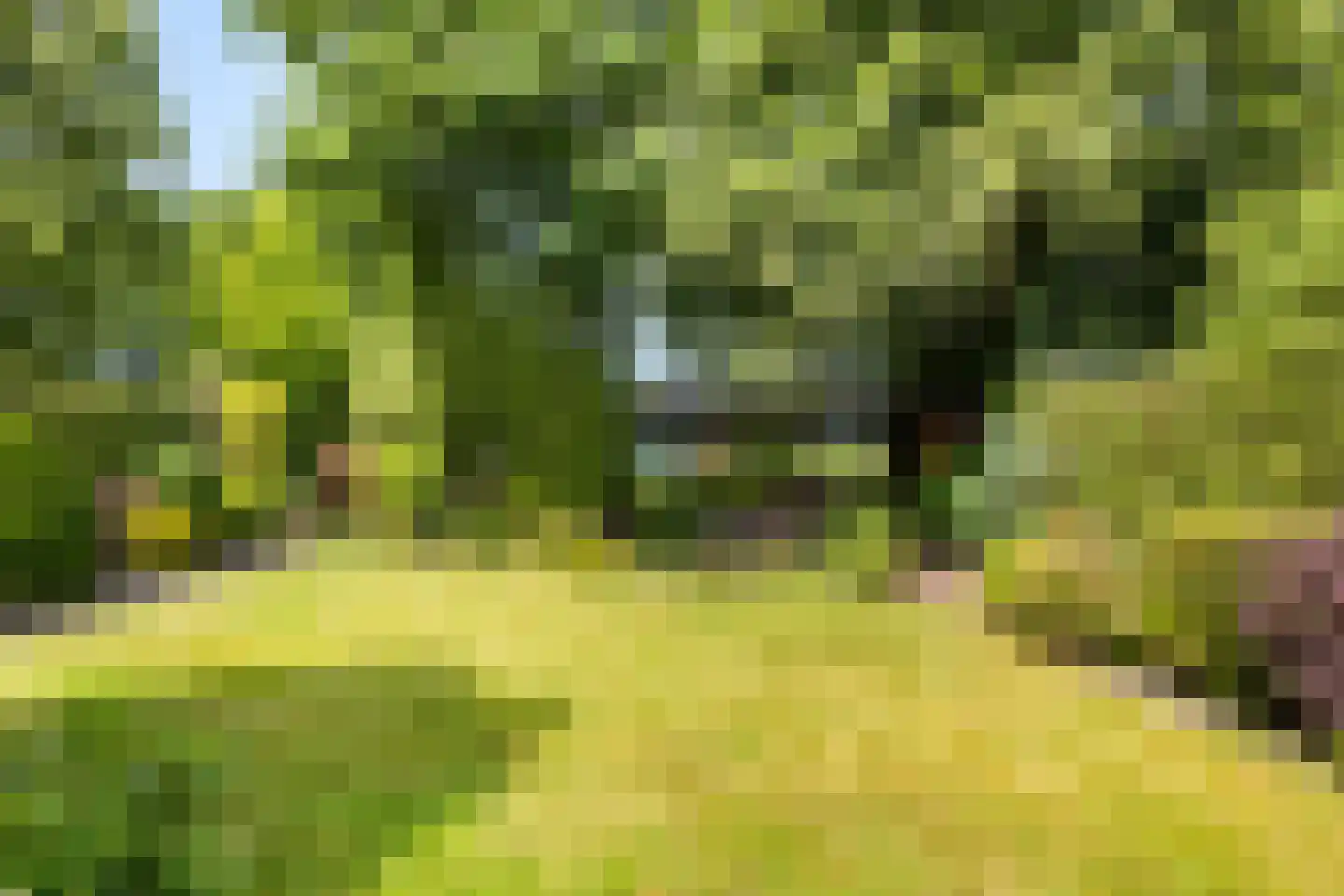 Birkstraat 159 Soest thumbnail 25