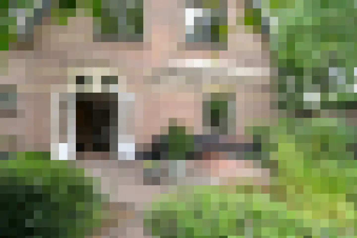Birkstraat 6 Soest thumbnail 25