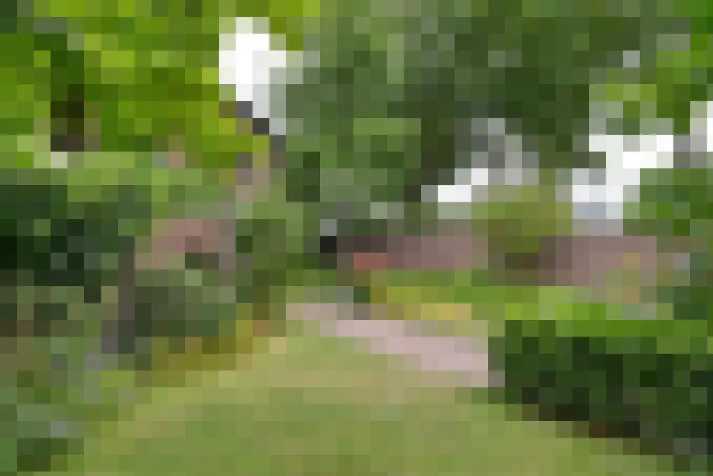 Birkstraat 6 Soest thumbnail 29