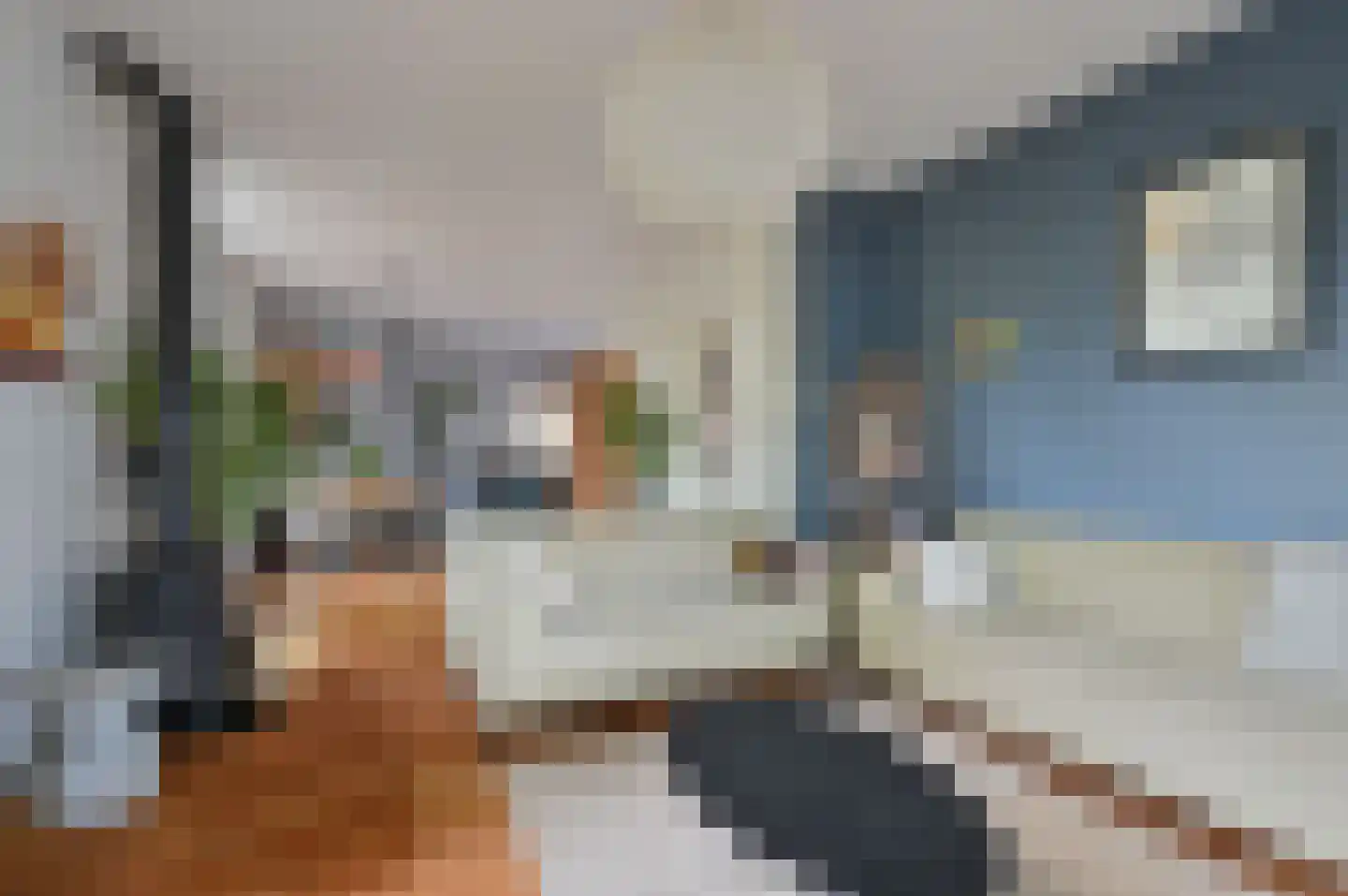 Birkstraat 6 Soest thumbnail 8