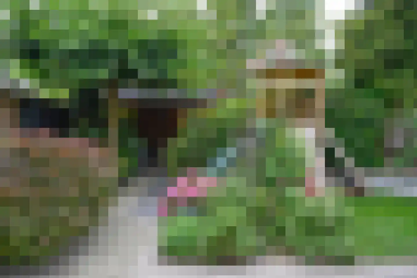 Birkstraat 8 Soest thumbnail 25
