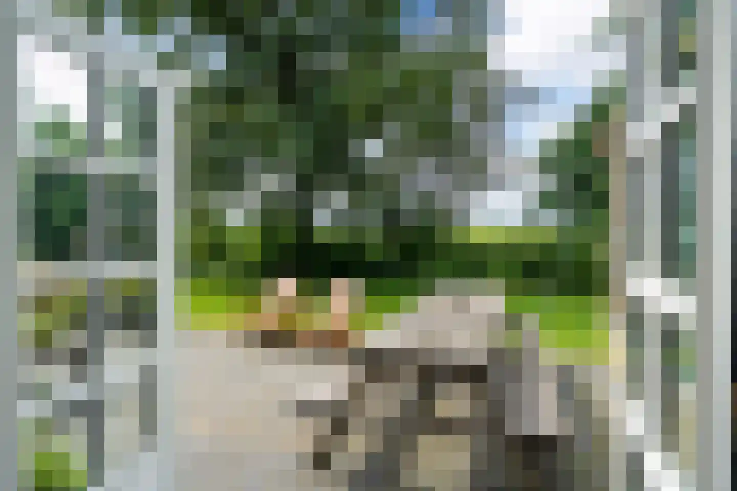 Birstum 11 Nes thumbnail 13
