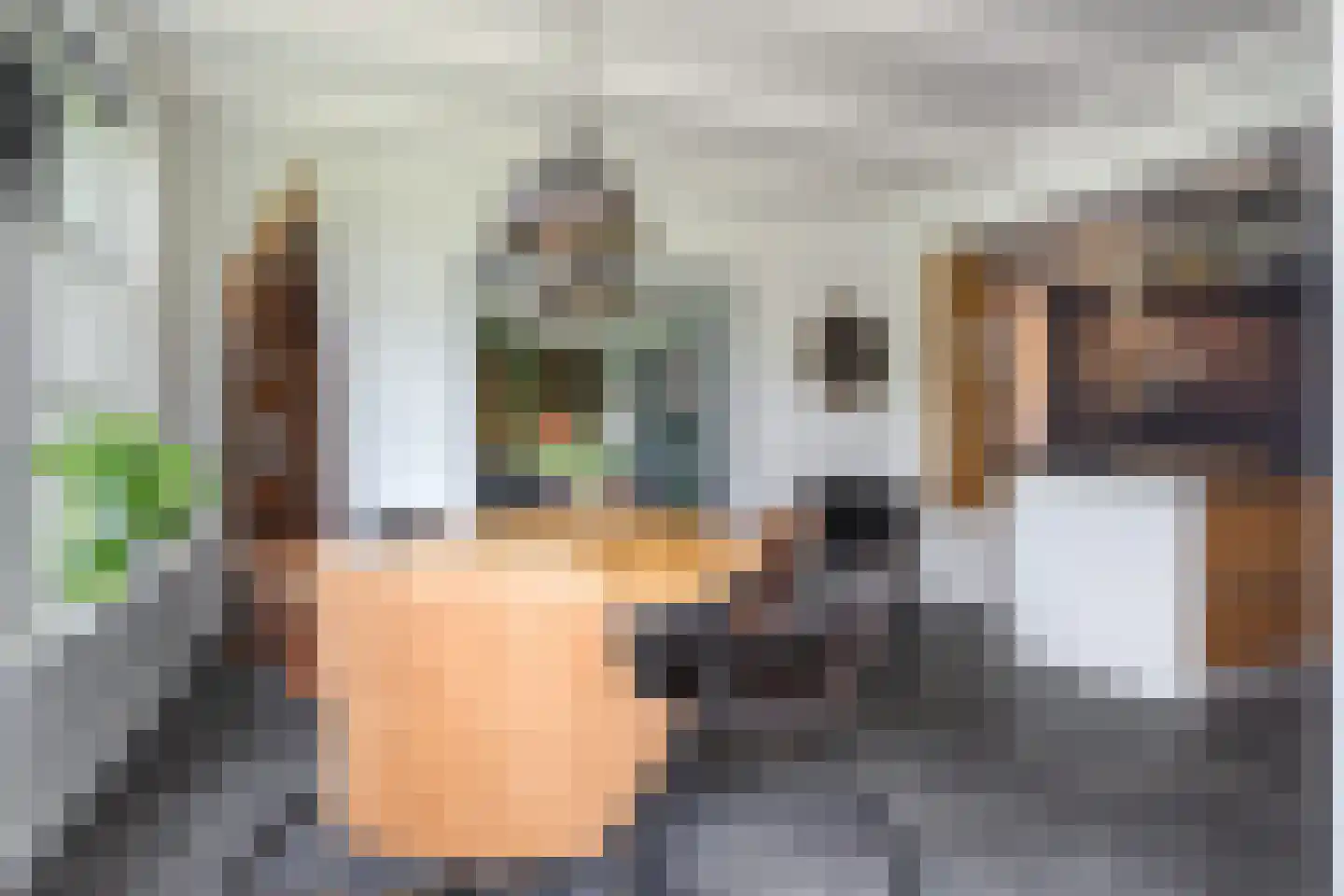 Birstum 11 Nes thumbnail 14