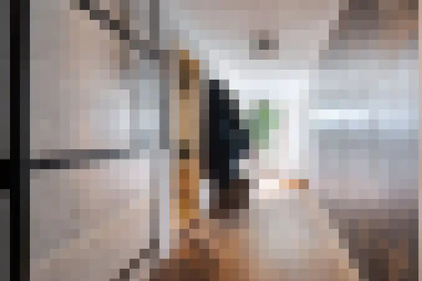 Birstum 11 Nes thumbnail 18