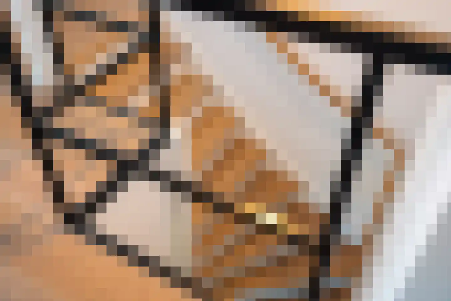 Birstum 11 Nes thumbnail 25