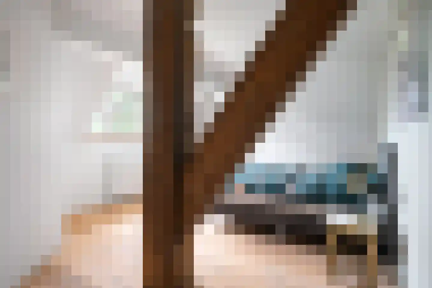 Birstum 11 Nes thumbnail 29