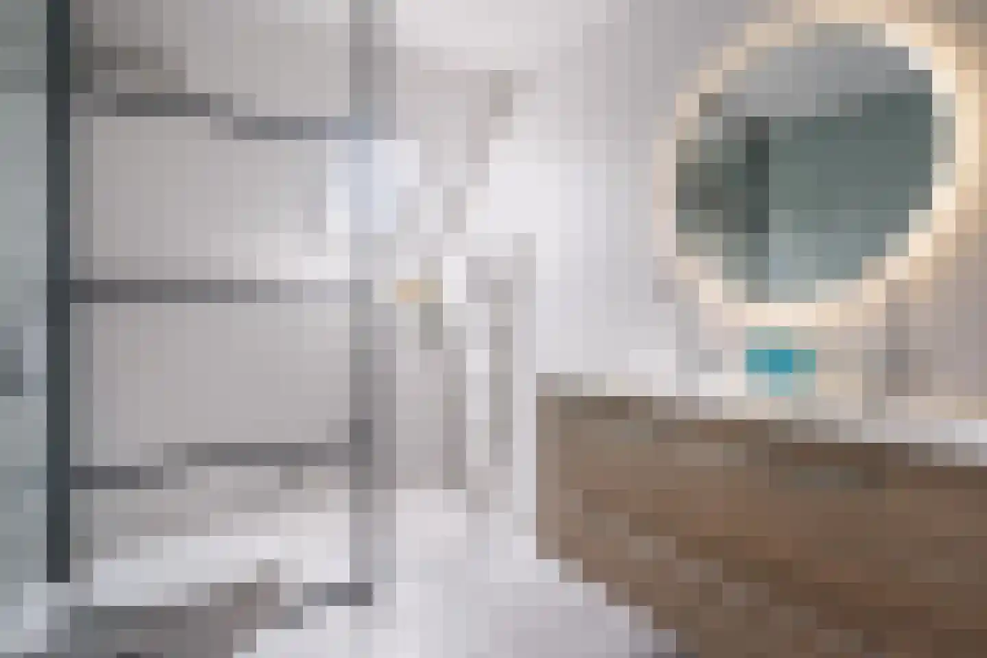 Birstum 11 Nes thumbnail 36