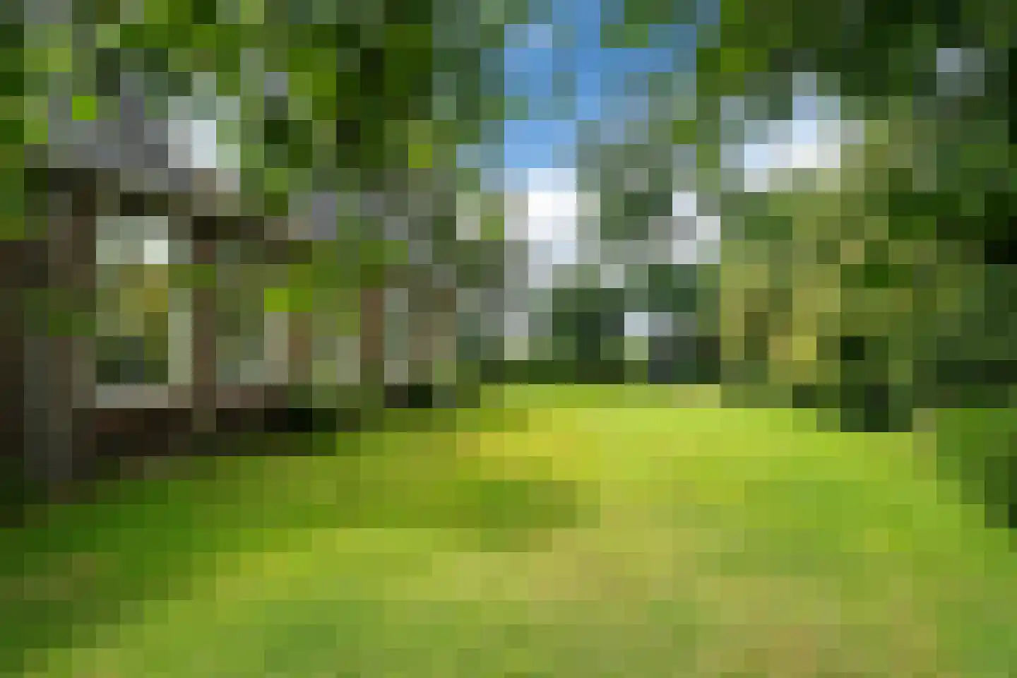 Birstum 11 Nes thumbnail 47