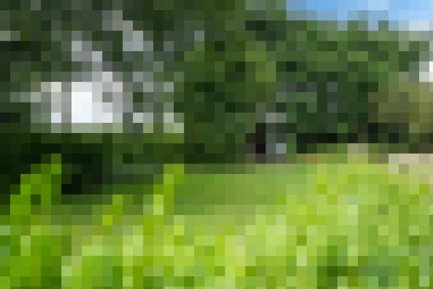 Birstum 11 Nes thumbnail 53