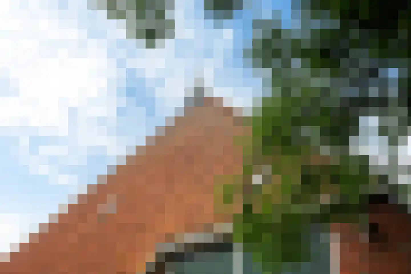 Birstum 11 Nes thumbnail 60