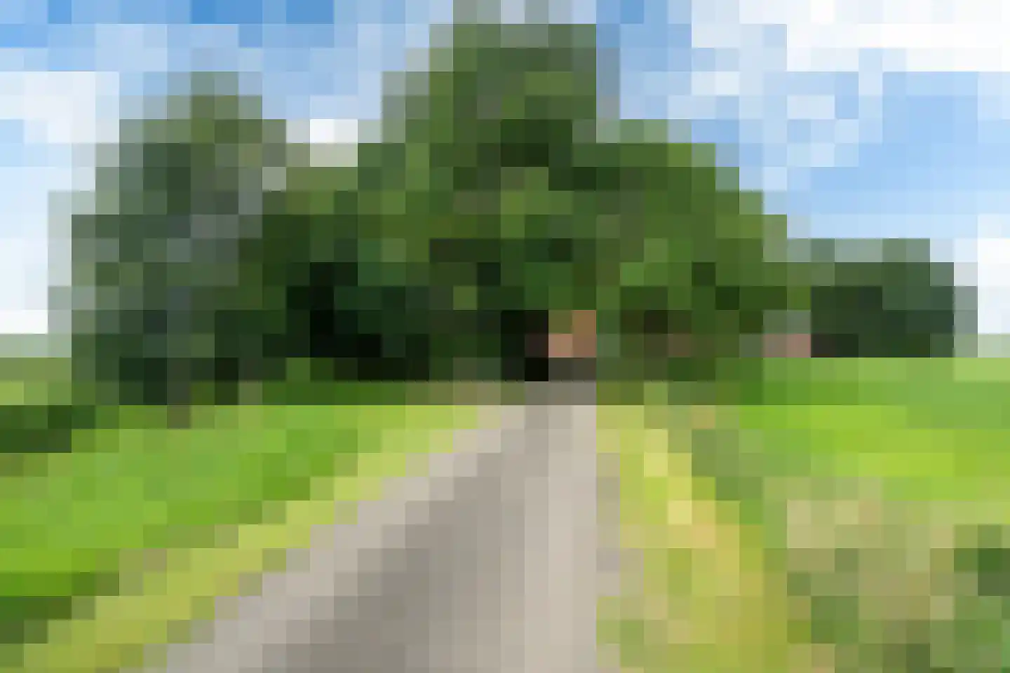 Birstum 11 Nes thumbnail 66