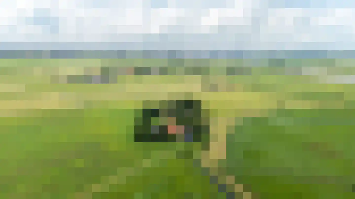 Birstum 11 Nes thumbnail 69