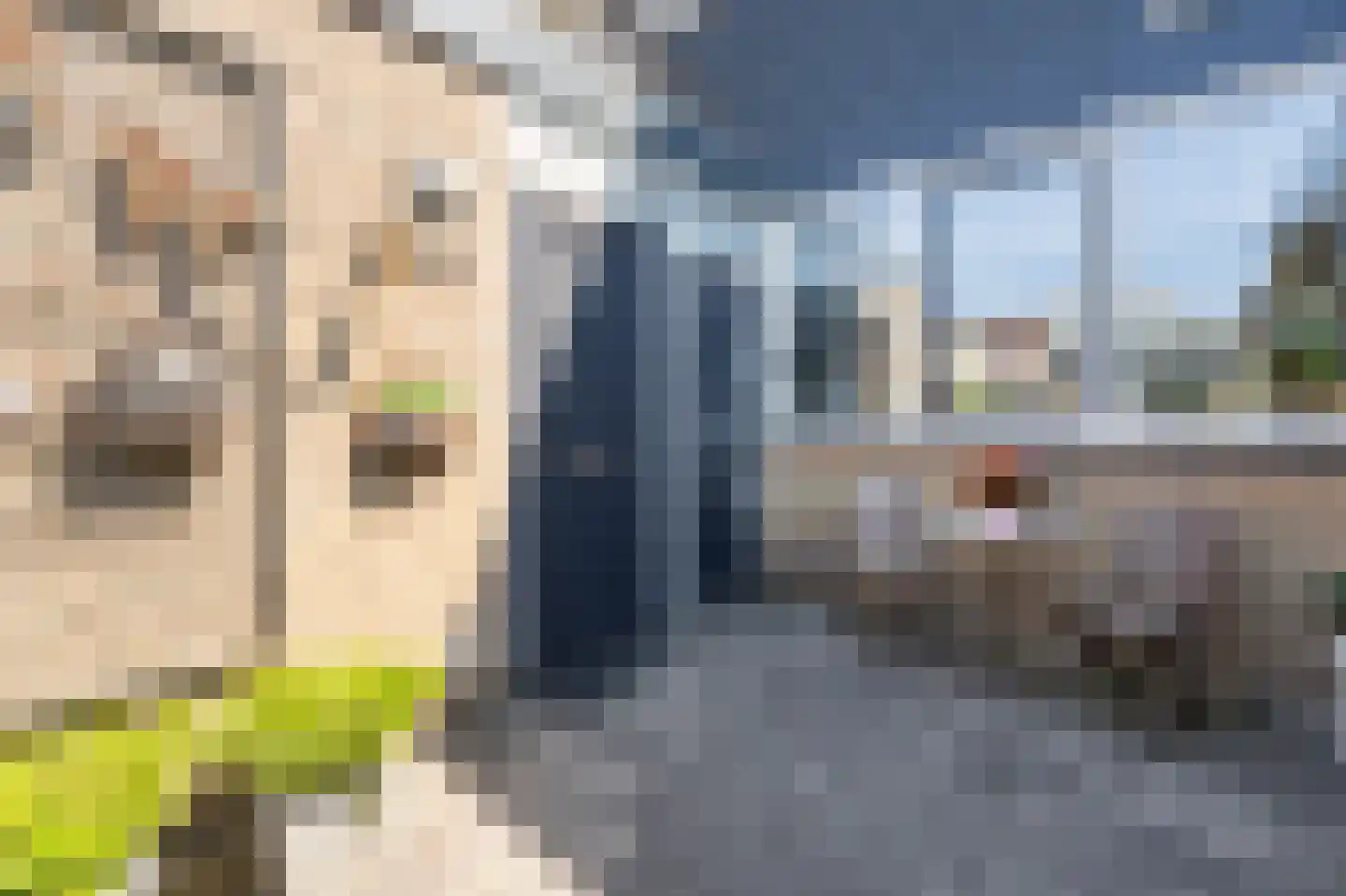 Biscayestraat 21 Emmeloord thumbnail 10