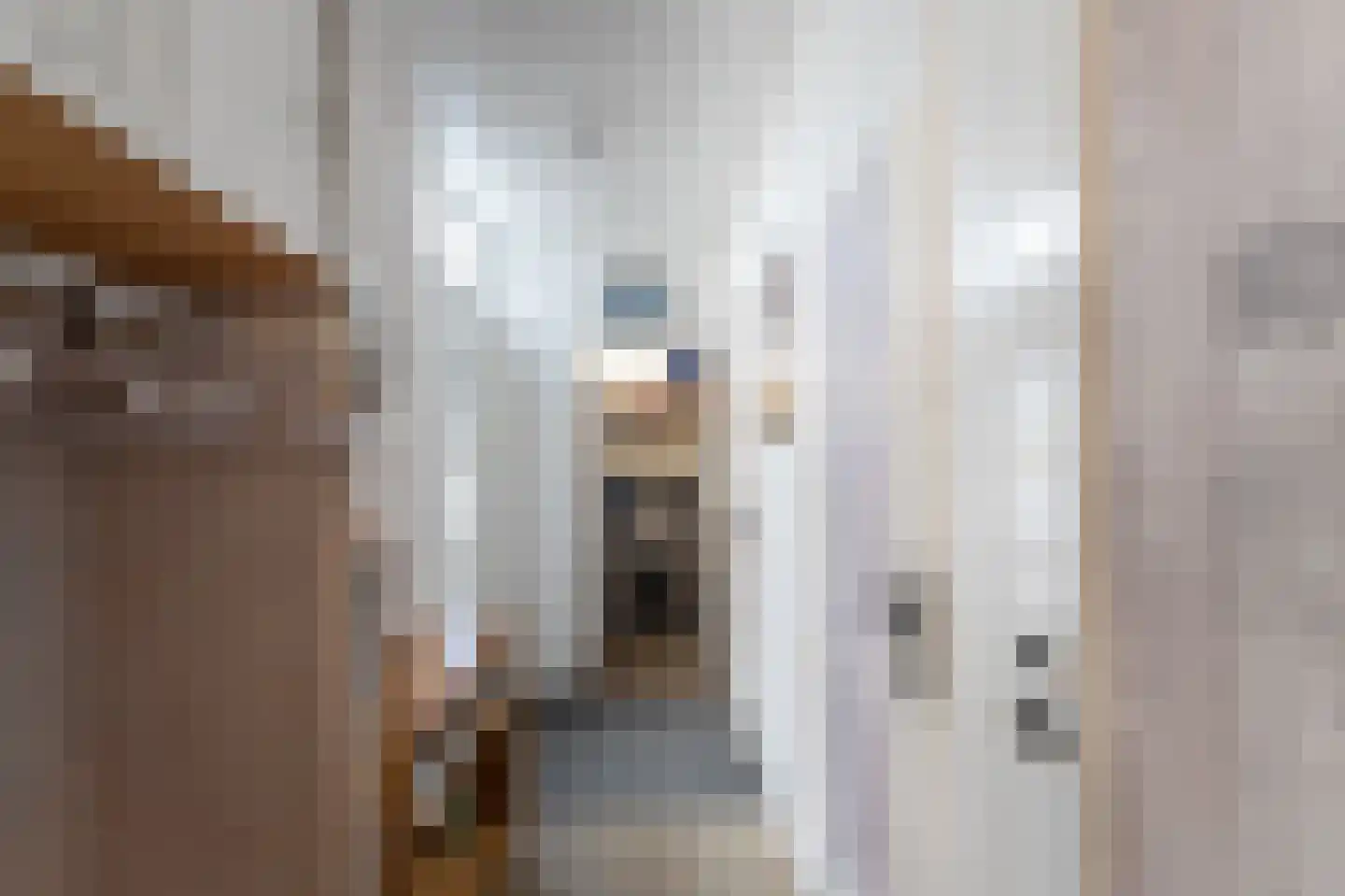 Biscayestraat 21 Emmeloord thumbnail 11