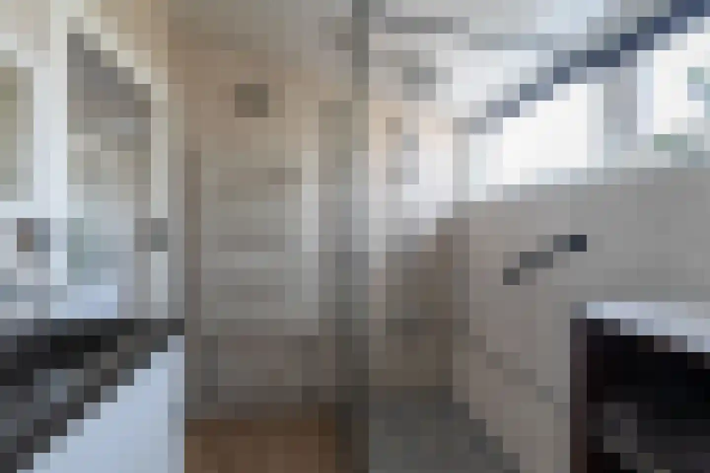 Biscayestraat 21 Emmeloord thumbnail 33