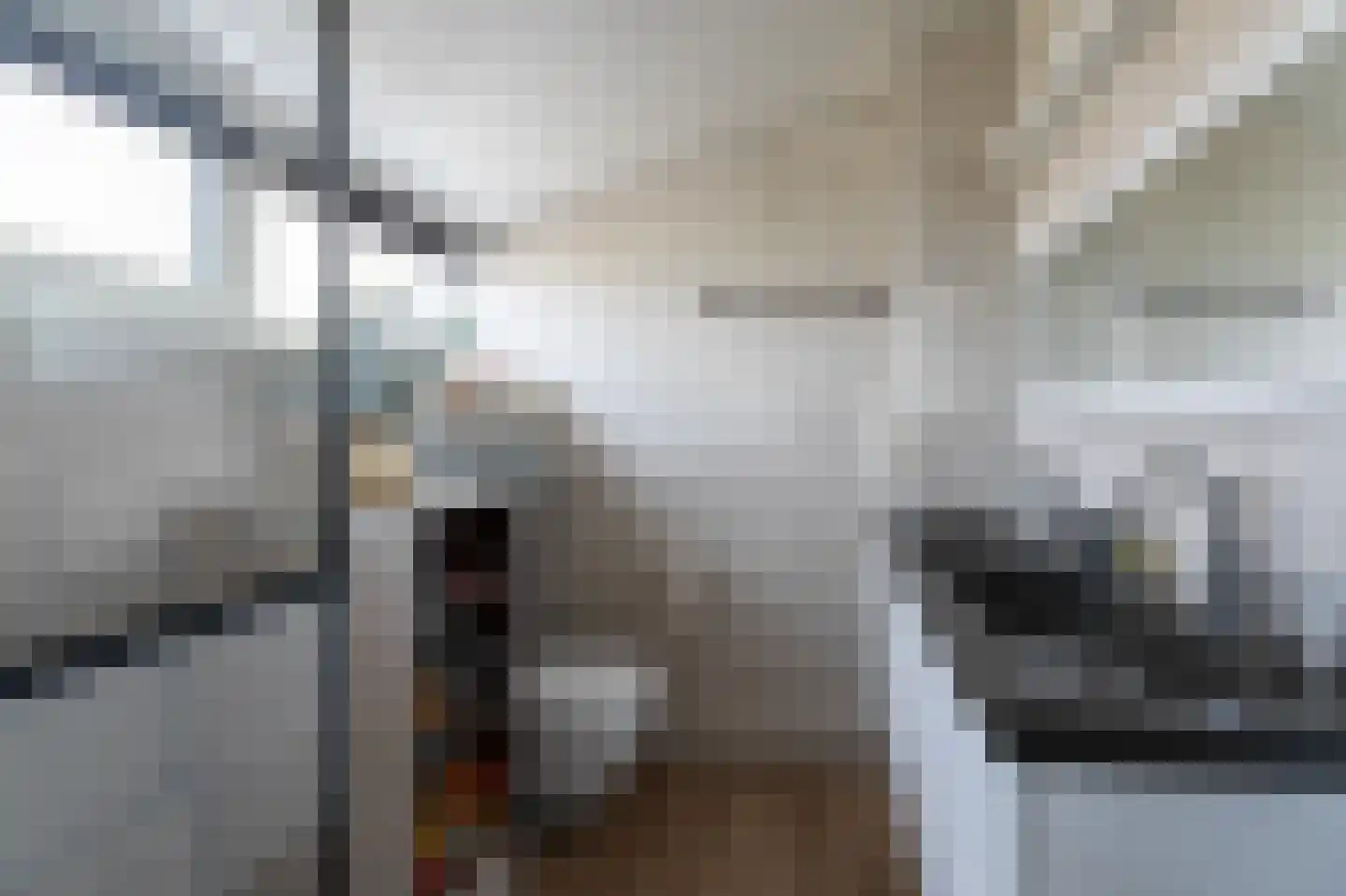 Biscayestraat 21 Emmeloord thumbnail 4