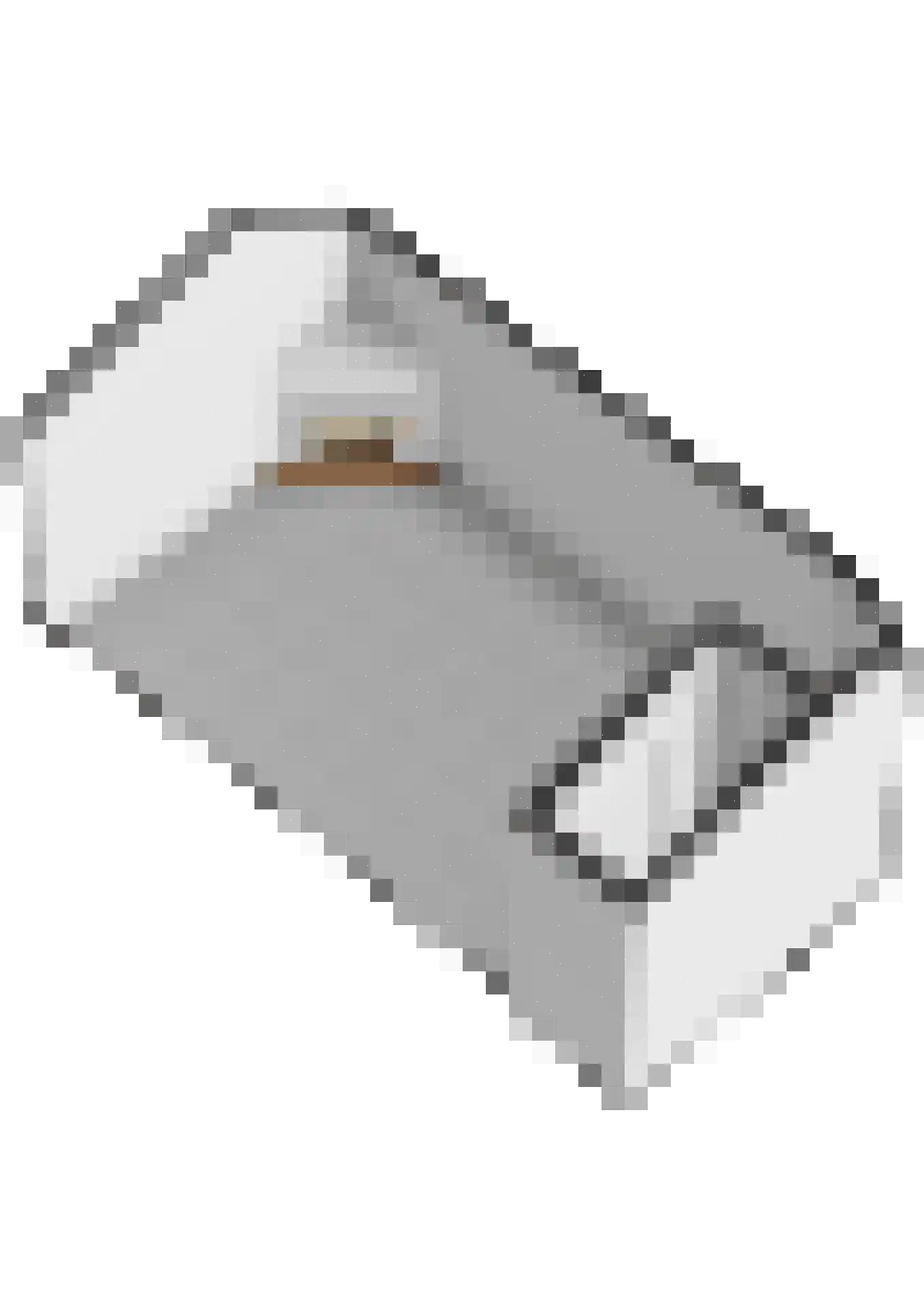 Biscayestraat 21 Emmeloord thumbnail 50