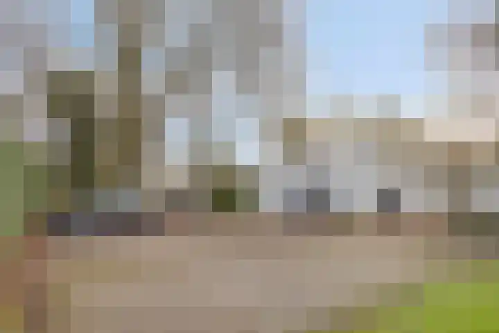 Bisonlaan 9 Son en Breugel thumbnail 10