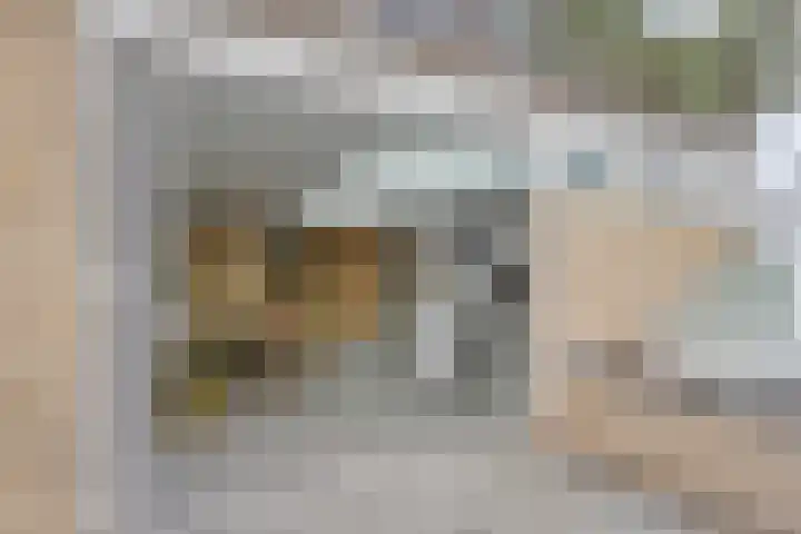 Bisonlaan 9 Son en Breugel thumbnail 100
