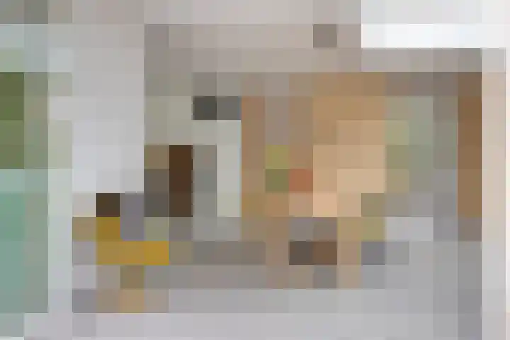 Bisonlaan 9 Son en Breugel thumbnail 101