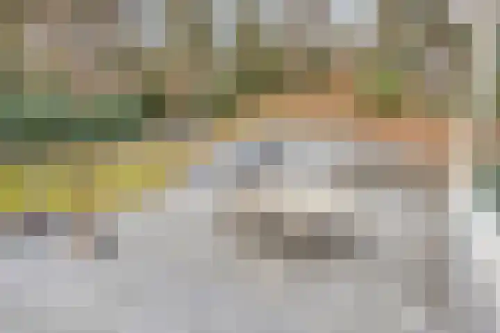 Bisonlaan 9 Son en Breugel thumbnail 102