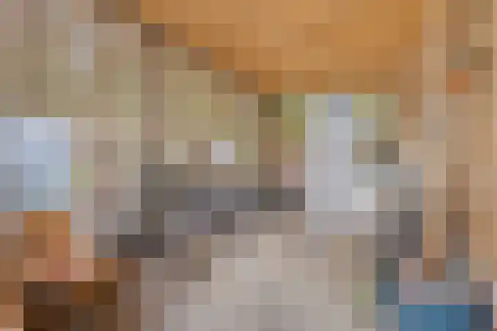 Bisonlaan 9 Son en Breugel thumbnail 104