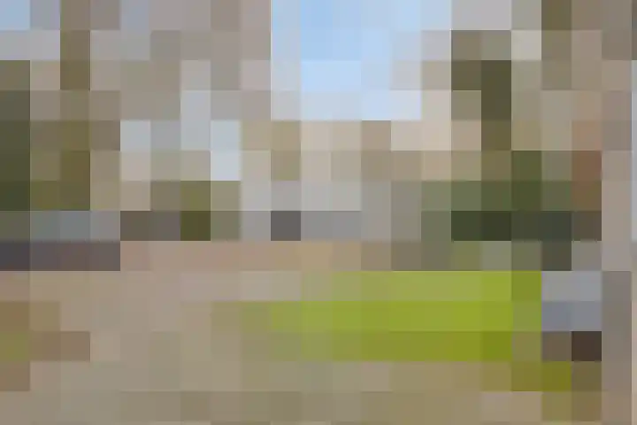 Bisonlaan 9 Son en Breugel thumbnail 11