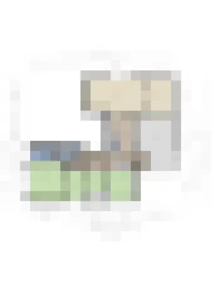 Bisonlaan 9 Son en Breugel thumbnail 114